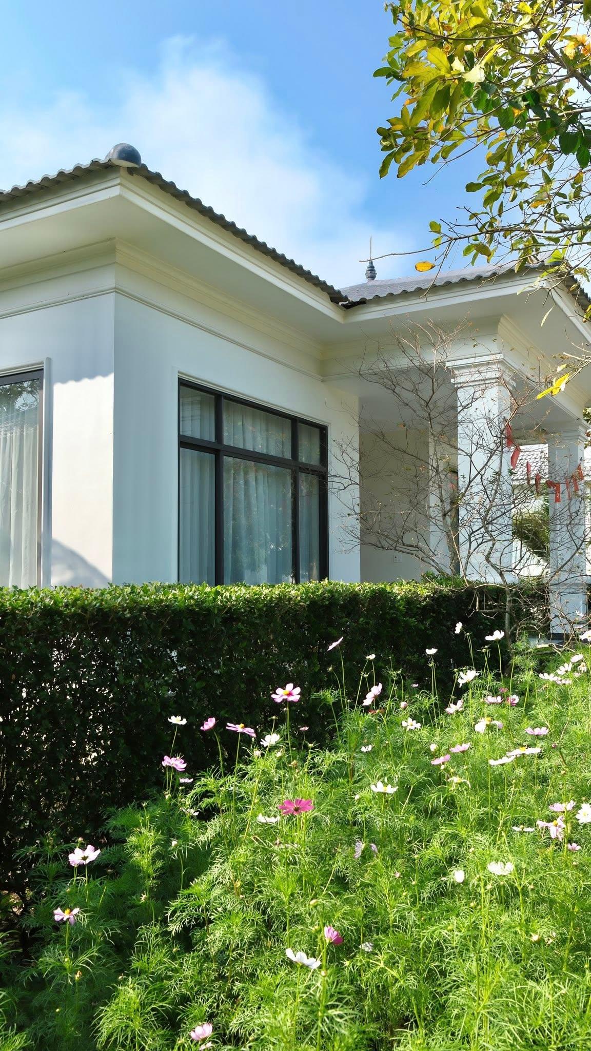 Lưu Trú Tại Biển Quỳnh Nghệ An: Gợi Ý Resort, Khách Sạn & Nhà Nghỉ Đẹp